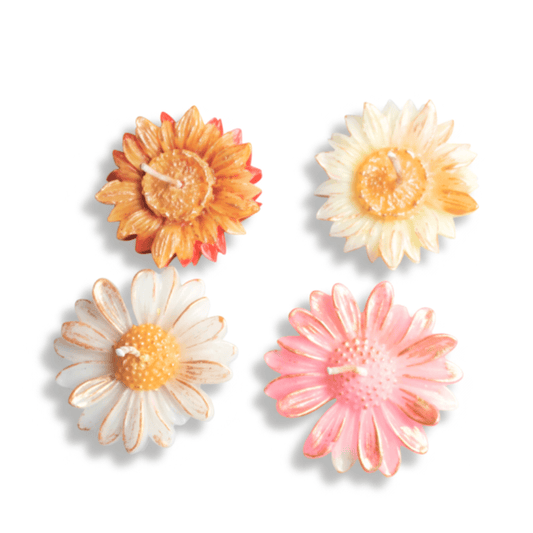Premium Daisy Flower Scented Candle Set | Natural Soy Wax | Multicolor Decorative Floral Candles (Set of 4) | Love WholeShop
