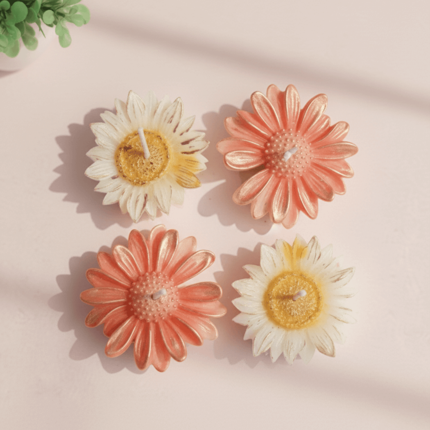 Premium Daisy Flower Scented Candle Set | Natural Soy Wax | Multicolor Decorative Floral Candles (Set of 4) | Love WholeShop