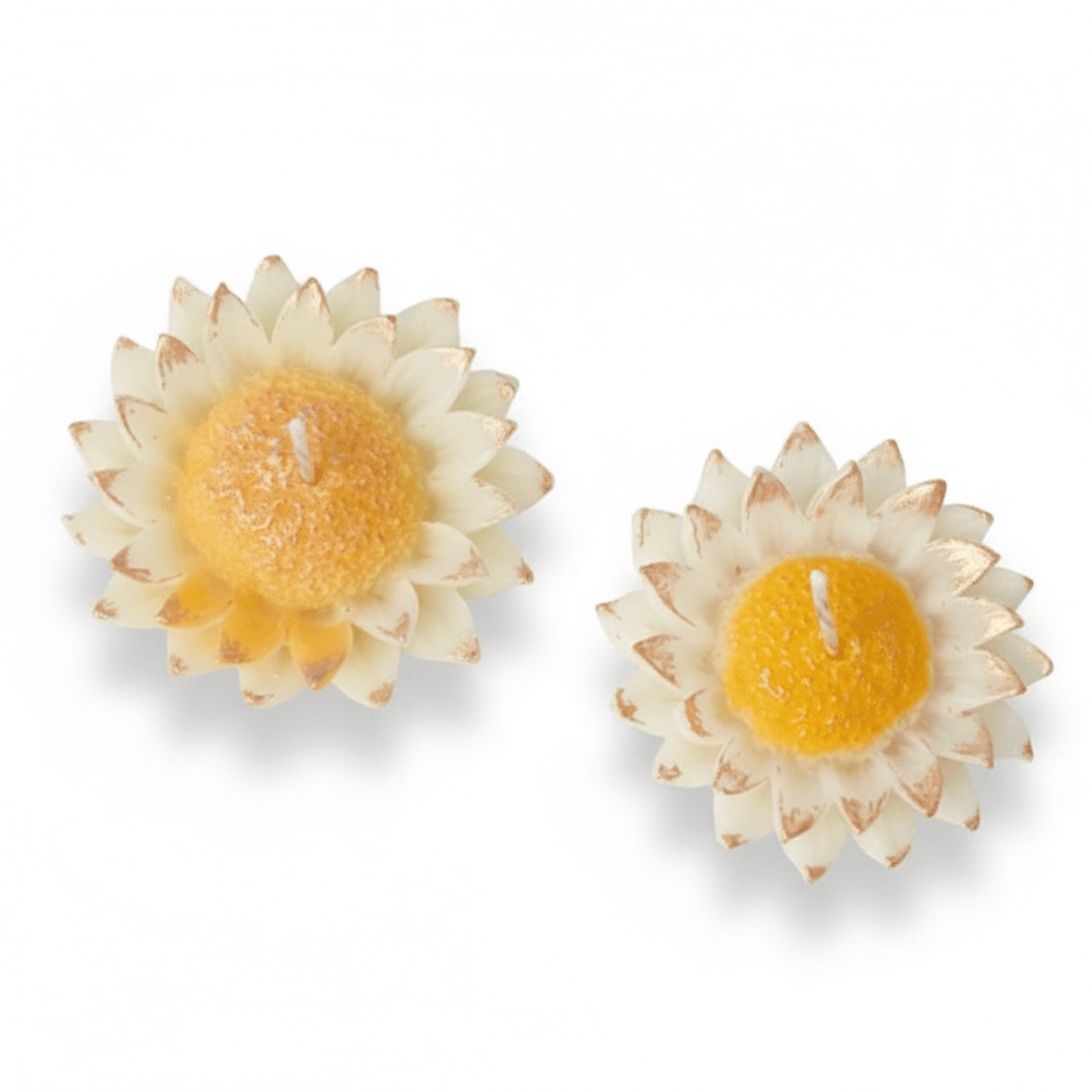 Daisy Flower Scented Soy Wax Candle Set | Premium Floral Decorative Candles | Yellow–White Daisy Design (Set of 2) | Love WholeShop